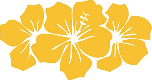 Decaltor Hibiscus Flower Group Vinyl Decal for Car Window Laptop, 5 in