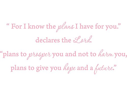 Picniva Jeremiah 29:11 Scripture Wall Decal, Pink, 22 x 9 in