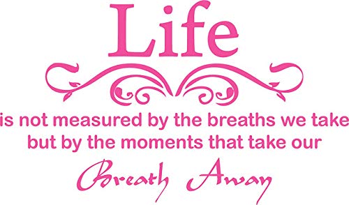 Picniva Life Is Not Measured Quote Vinyl Wall Decal, Pink, 22 x 12 in