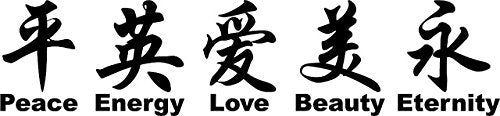 Black 43" X 10" Chinese Symbol DECAL ART Décor