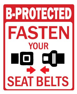 Picniva Fasten Seatbelt Reminder Stickers, Two Pack