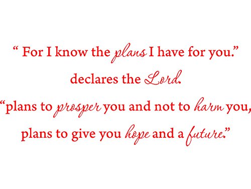 Picniva Jeremiah 29:11 Scripture Wall Decal, Red, 22 x 9 in