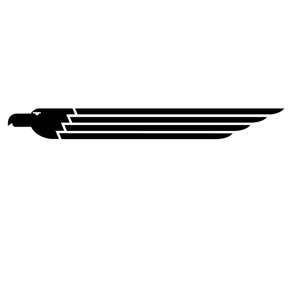 Picniva Style 169 Racing Side Stripe Vinyl Decals, 11 x 100 in, 2 Pc