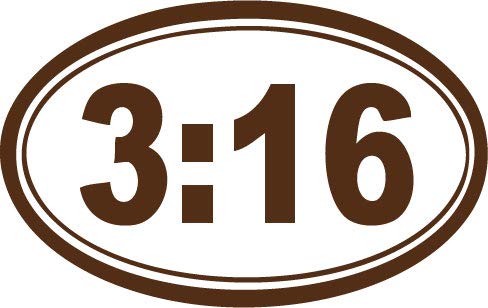 Decaltor John 3:16 Bible Verse Vinyl Decal, 3.5 x 5 in