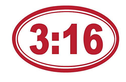 Decaltor John 3:16 Bible Verse Vinyl Decal, 3.5 x 5 in