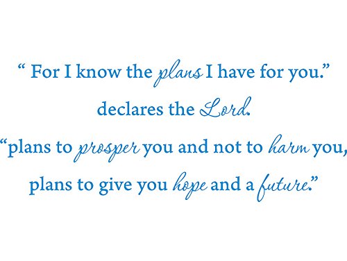 Picniva Jeremiah 29:11 Scripture Wall Decal, Blue, 22 x 9 in