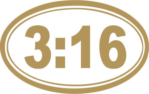 Decaltor John 3:16 Bible Verse Vinyl Decal, 3.5 x 5 in