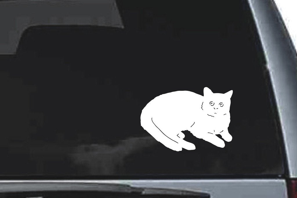 Picniva Cat Sty5 Vinyl Car Window Decal, Approx 5 in