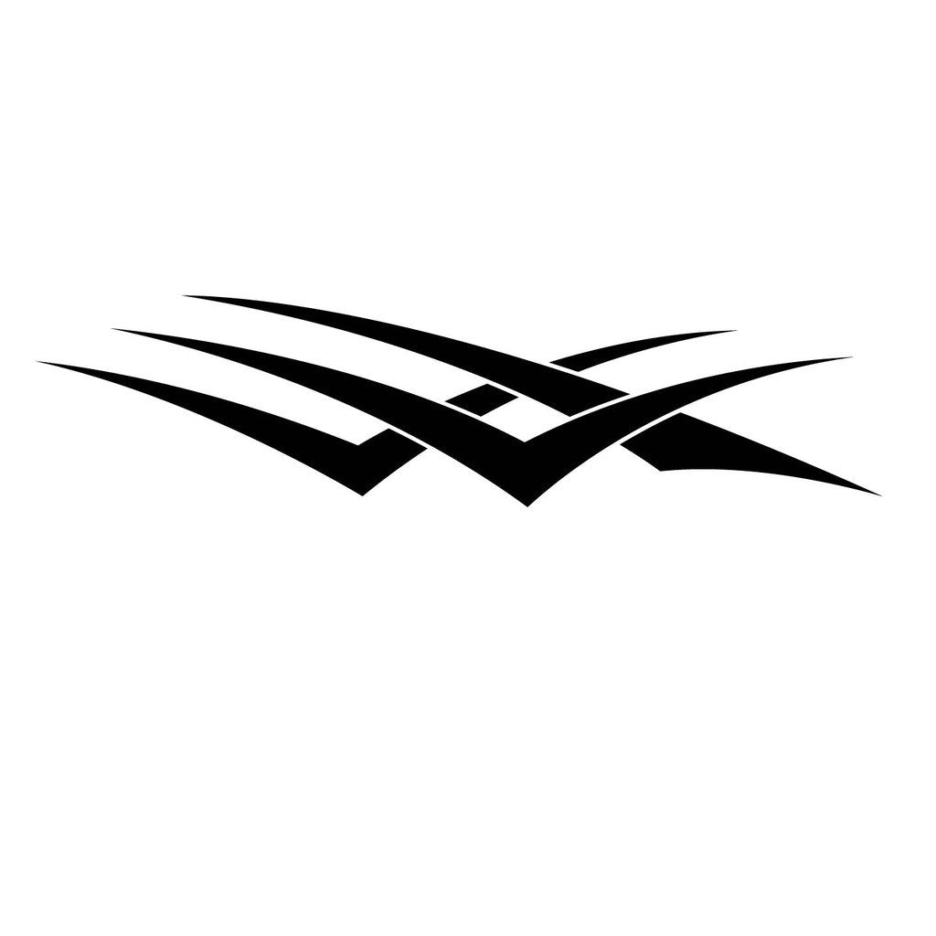 Picniva Angular Swoosh Vinyl Car Body Side Decals, Two Pack