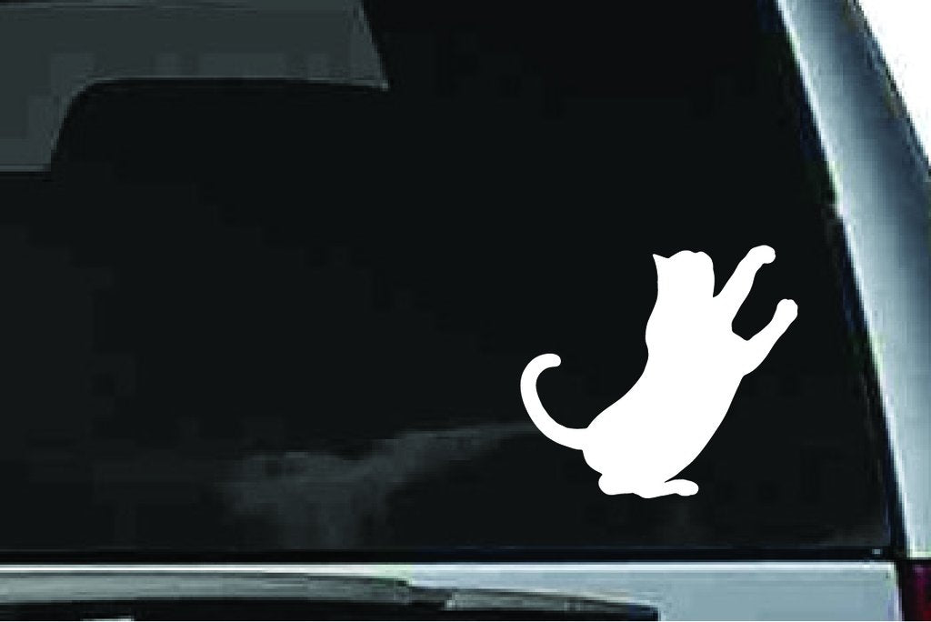 Picniva Exotic Shorthair Cat Sty6 Vinyl Car Window Decal, Approx 5 in