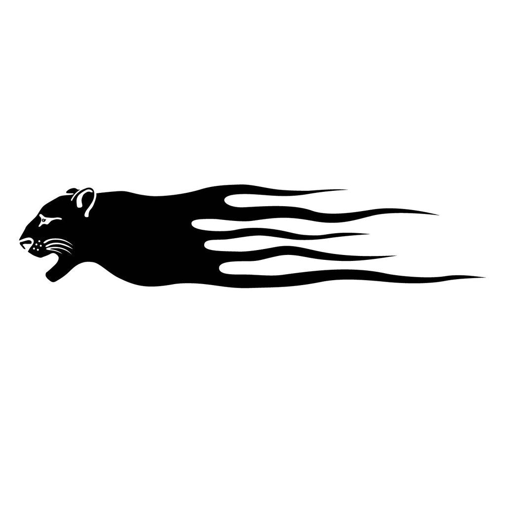 Picniva sty372 Racing Car Body Side Stripes Sticker Decal 2 Pcs