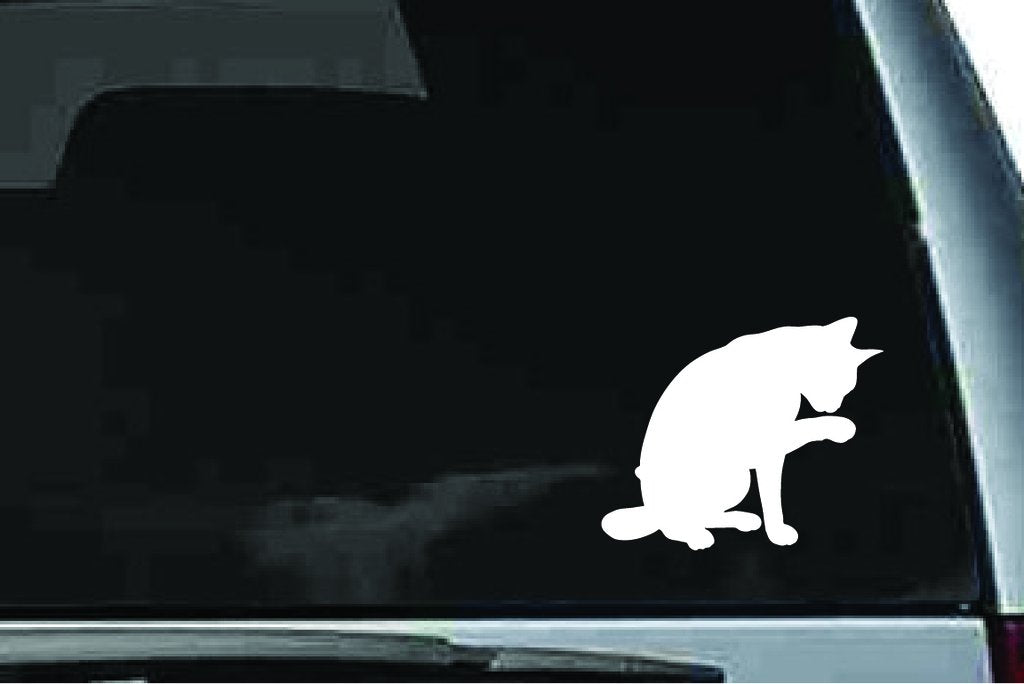 Picniva Abyssinian Cat Sty7 Vinyl Car Window Decal, Approx 5 in