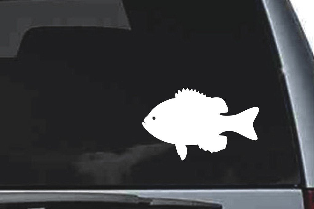 Picniva Fish Sty73 Vinyl Car Window Decal, Approx 5 in