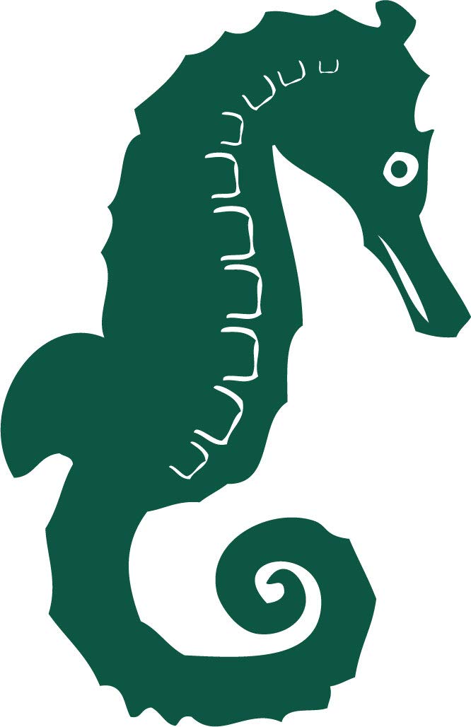 Decaltor Seahorse Vinyl Decal, 5 in, Car Window Sticker