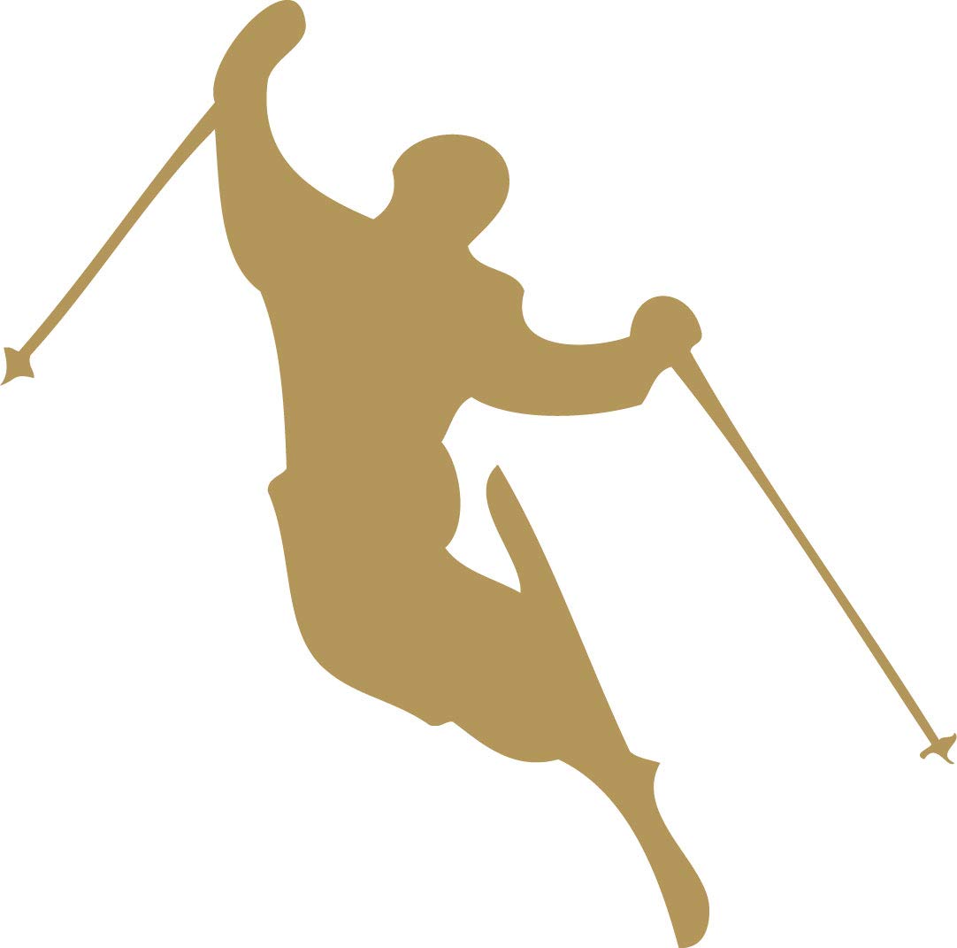 Decaltor Skier Downhill Skiing 5 in Vinyl Decal for Laptop Bumper Wall