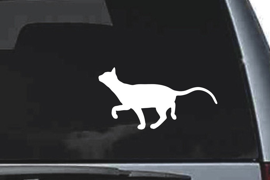 Picniva Devon Rex Cat Sty14 Vinyl Car Window Decal, Approx 5 in