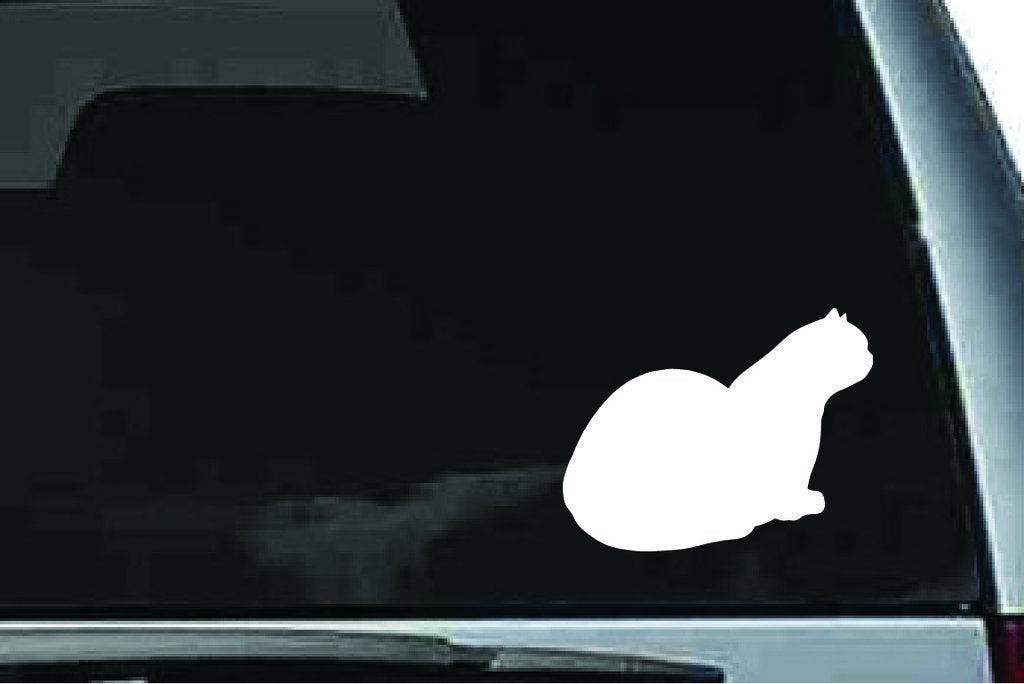 Picniva Exotic Shorthair Cat Sty4 Vinyl Car Window Decal, Approx 5 in