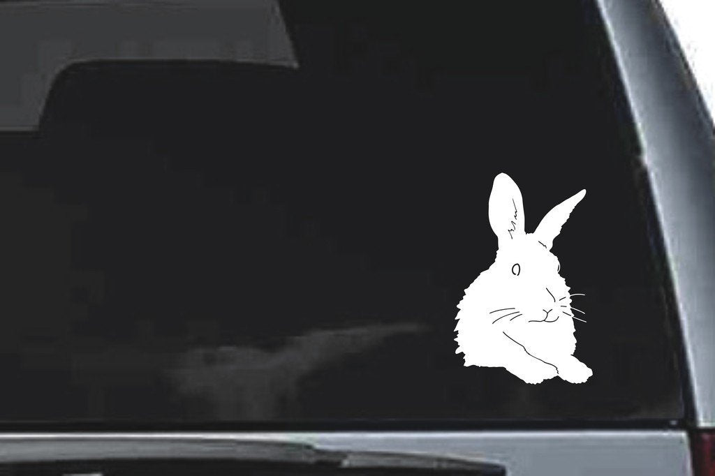 Picniva Rabbit Sty4 Vinyl Car Window Decal, Approx 5 in