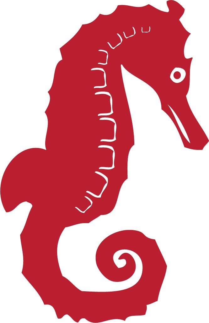 Decaltor Seahorse Vinyl Decal, 5 in, Car Window Sticker