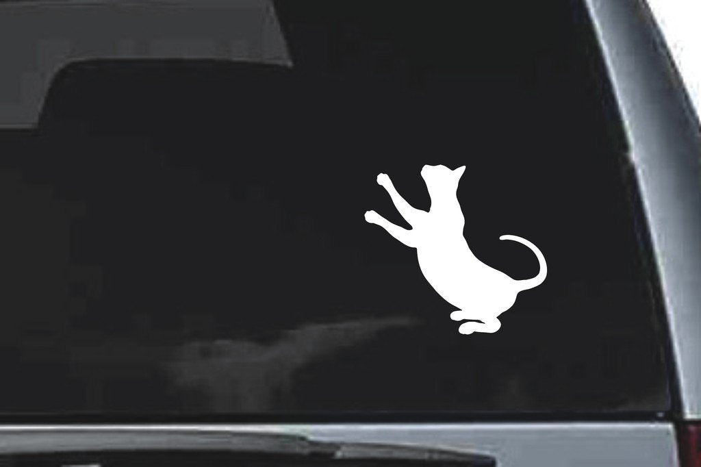 Picniva Devon Rex Cat Sty13 Vinyl Car Window Decal, Approx 5 in