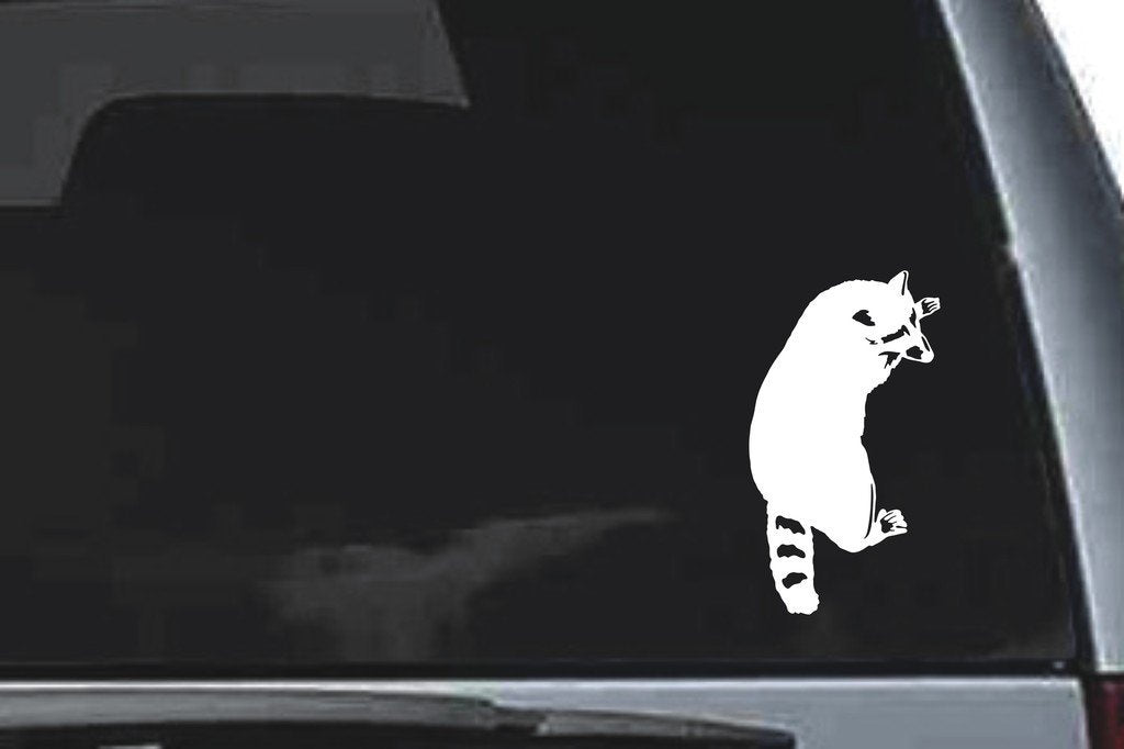 Picniva Raccoon Sty2 Vinyl Car Window Decal, Approx 5 in