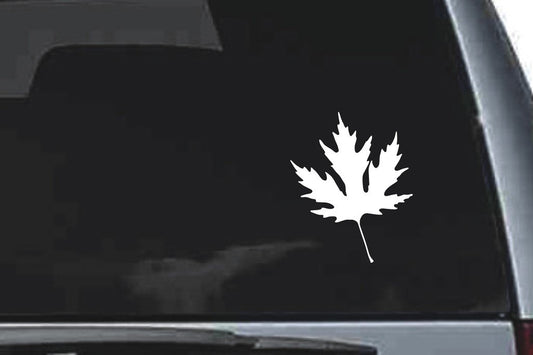 Picniva Maple Leaf Silhouette Sty8a Vinyl Car Window Decal, Approx 5 in