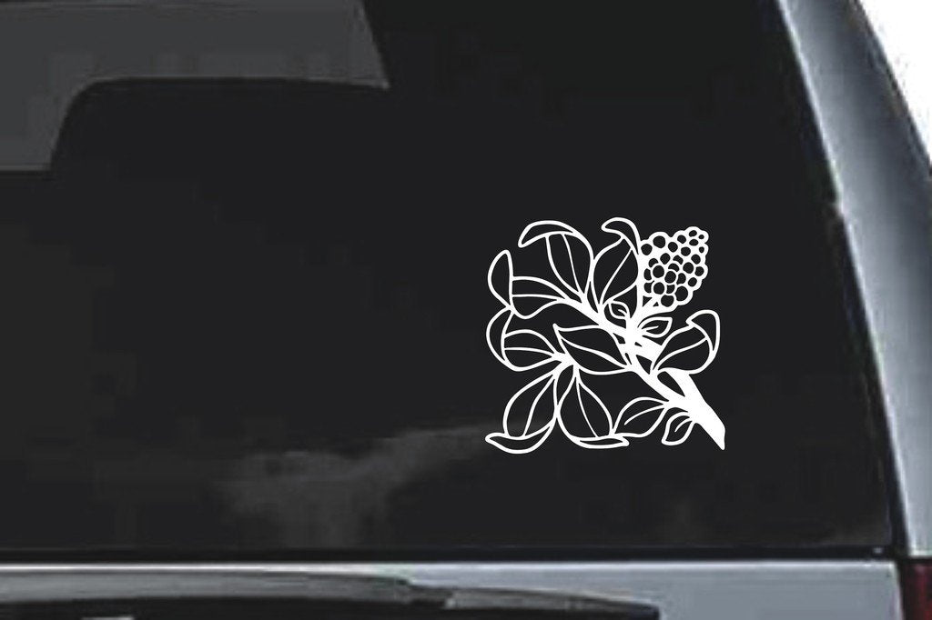 Picniva Outlined Leaves Grapes Sty14 Vinyl Car Window Decal, Approx 5 in