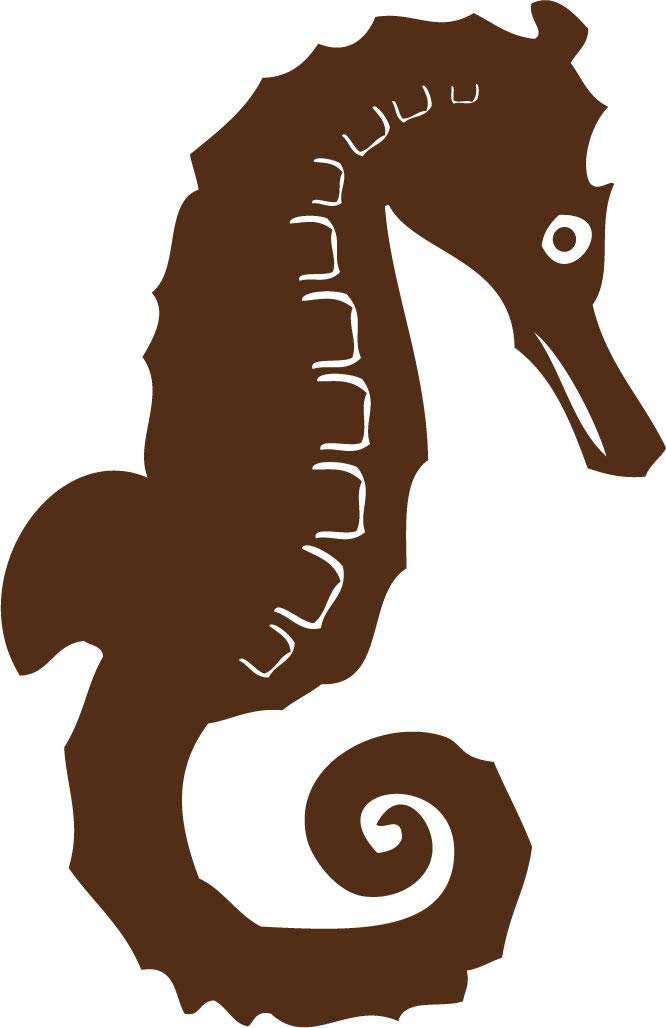 Decaltor Seahorse Vinyl Decal, 5 in, Car Window Sticker