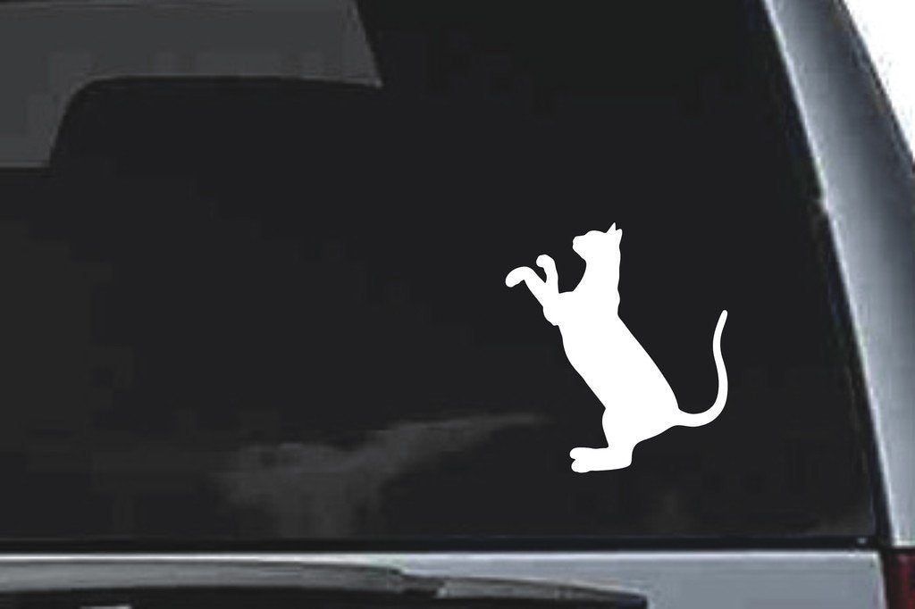 Picniva Devon Rex Cat Sty11 Vinyl Car Window Decal, Approx 5 in