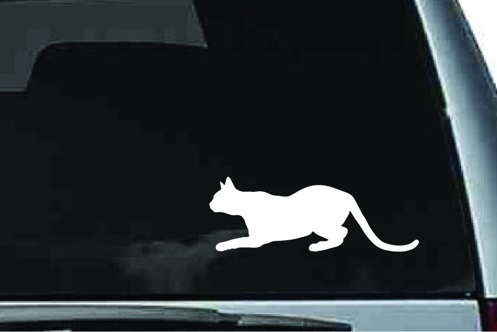 Picniva Abyssinian Cat Sty5 Vinyl Car Window Decal, Approx 5 in