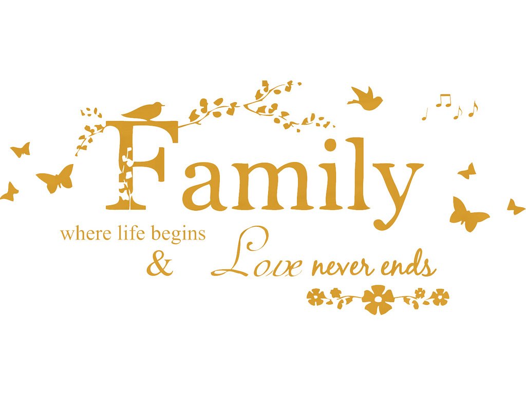 Picniva Family Quote Lettering Vinyl Wall Decal, Gold, 22 x 10 inches