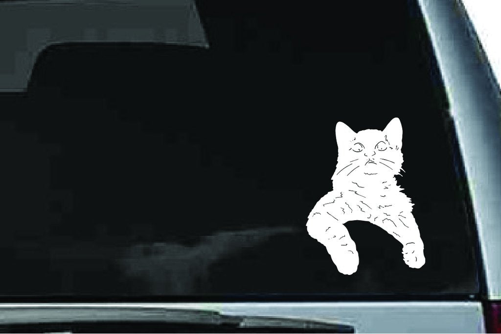 Picniva Cat Sty4 Vinyl Car Window Decal, Approx 5 in