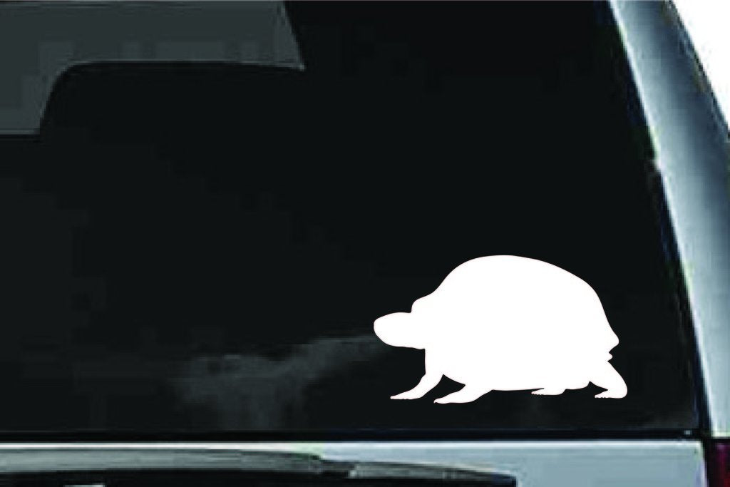 Picniva Box Turtle Sty2 Vinyl Car Window Decal, Approx 5 in