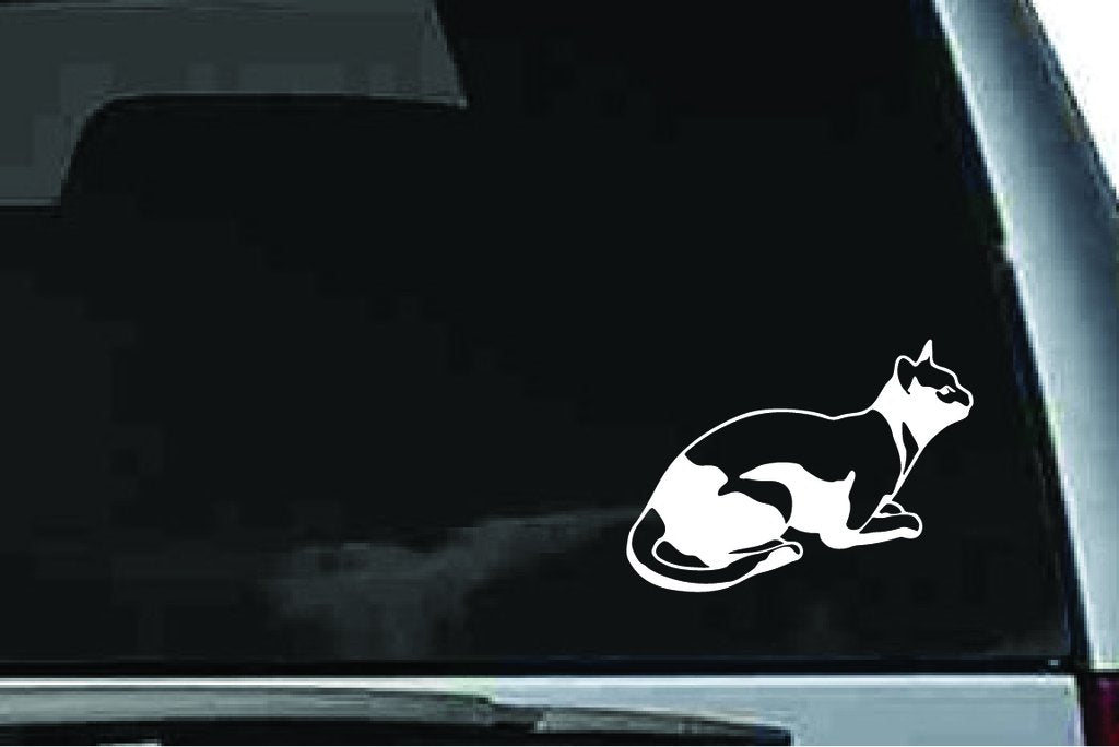 Picniva Cat Sty23 Vinyl Car Window Decal, Approx 5 in