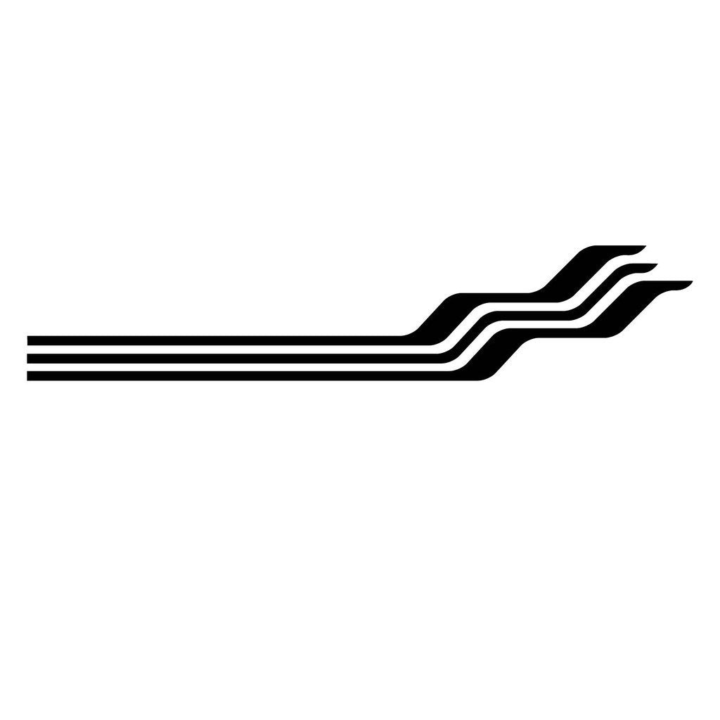 Picniva Style 131 Racing Side Stripe Vinyl Decals, 20 x 99 in, 2 Pc