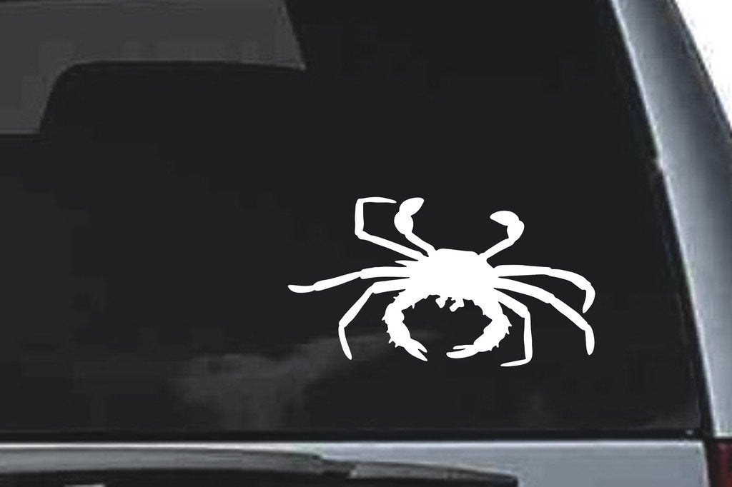 Picniva Cancer Sty2 Vinyl Car Window Decal, Approx 5 in