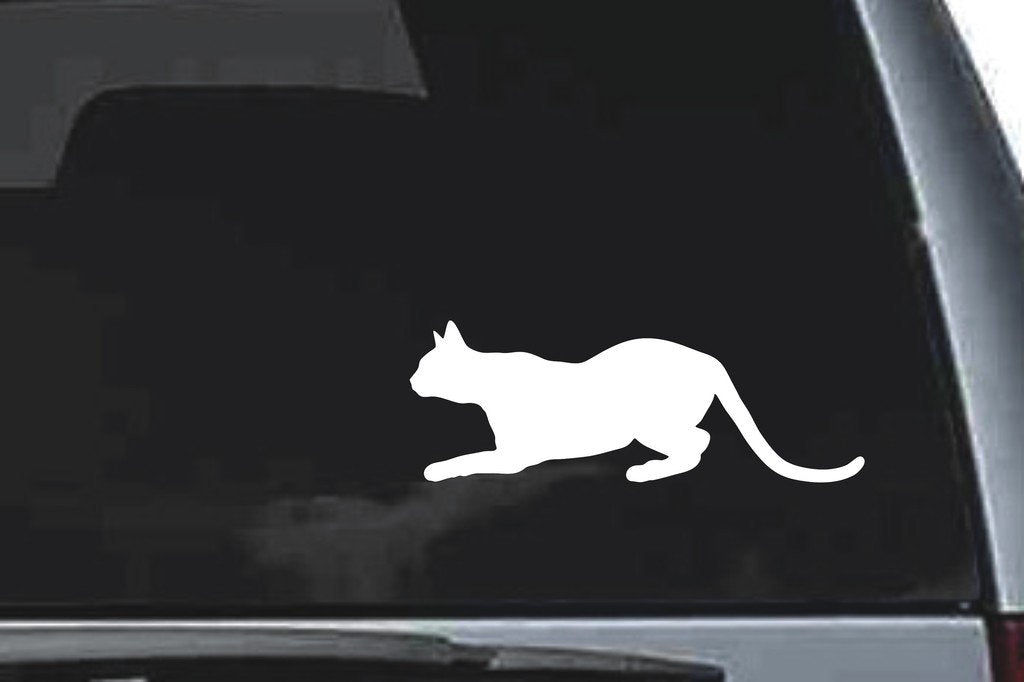 Picniva Abyssinian Cat Sty5 Vinyl Car Window Decal, Approx 5 in