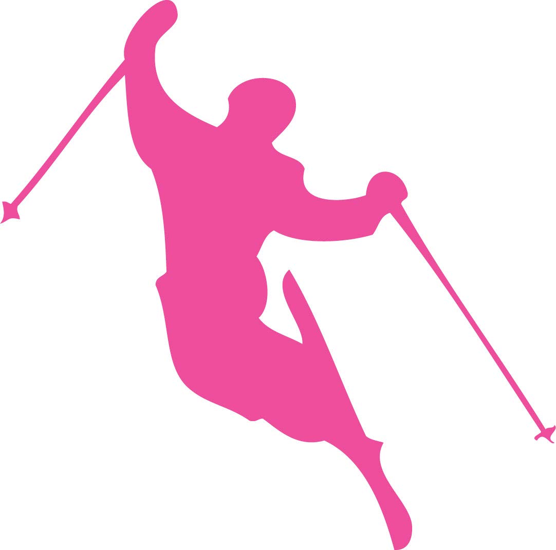 Decaltor Skier Downhill Skiing 5 in Vinyl Decal for Laptop Bumper Wall