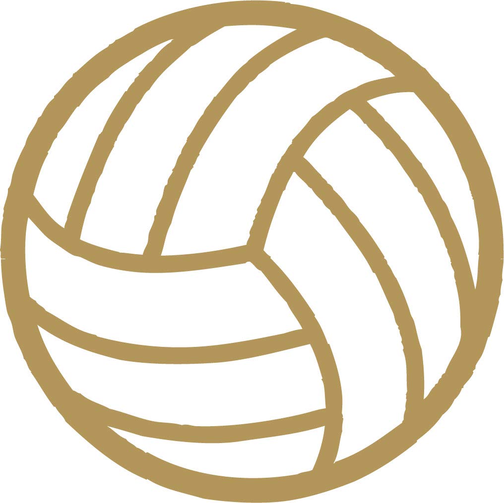 Decaltor Volleyball Ball Laptop Decal, 5 in