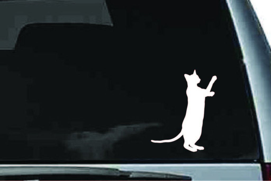 Picniva Siamese Cat Sty16 Vinyl Car Window Decal, Approx 5 in