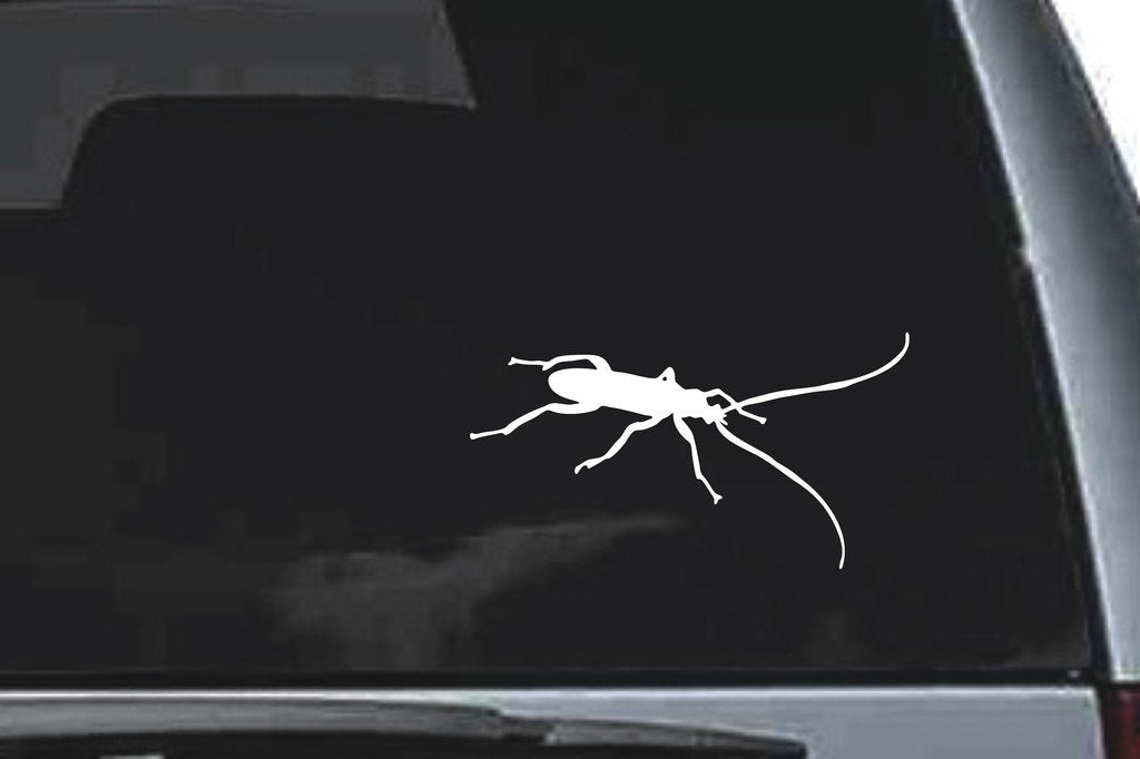 Picniva Bug Sty13 Vinyl Car Window Decal, Approx 5 in