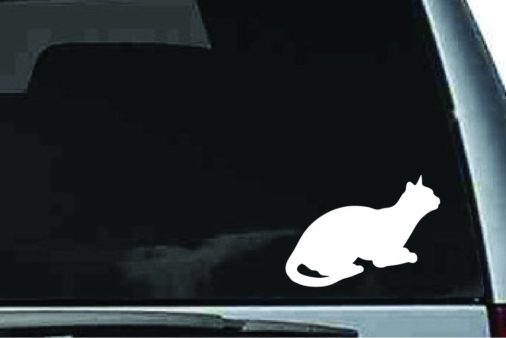 Picniva Cat Sty23a Vinyl Car Window Decal, Approx 5 in
