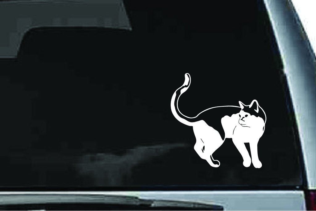Picniva Cat Sty25 Vinyl Car Window Decal, Approx 5 in