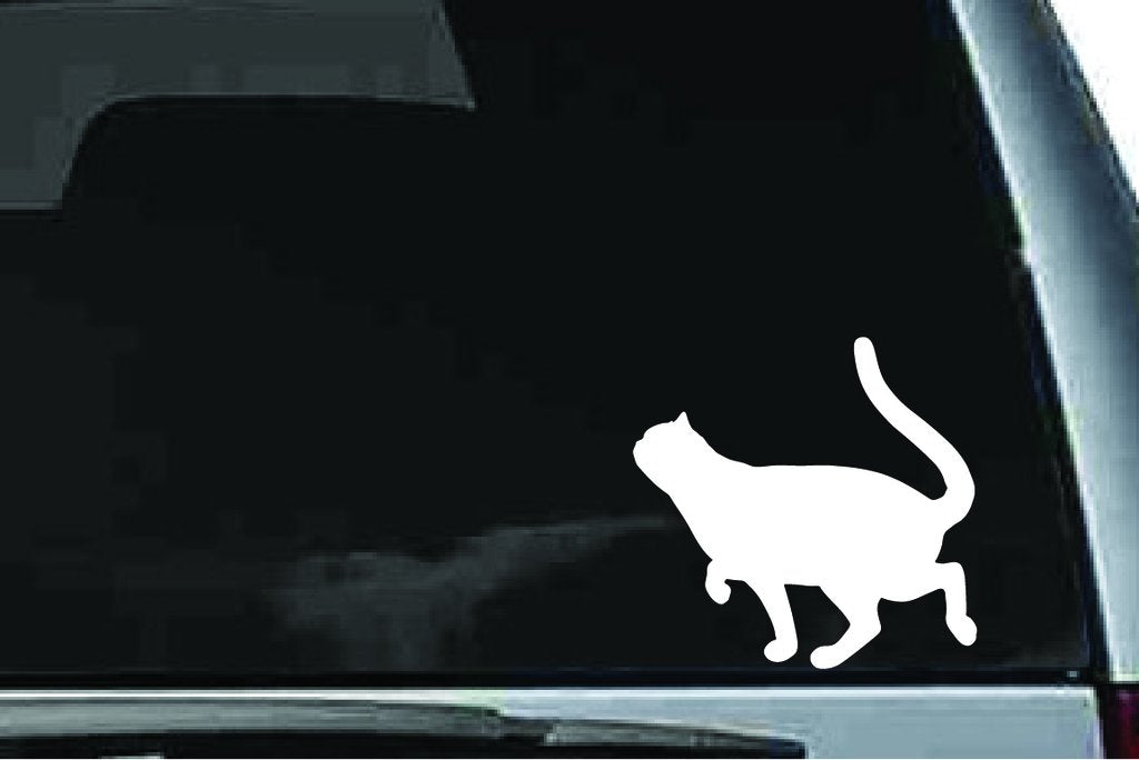 Picniva Exotic Shorthair Cat Sty2 Vinyl Car Window Decal, Approx 5 in