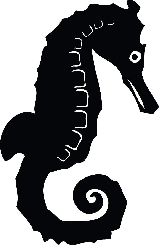 Decaltor Seahorse Vinyl Decal, 5 in, Car Window Sticker