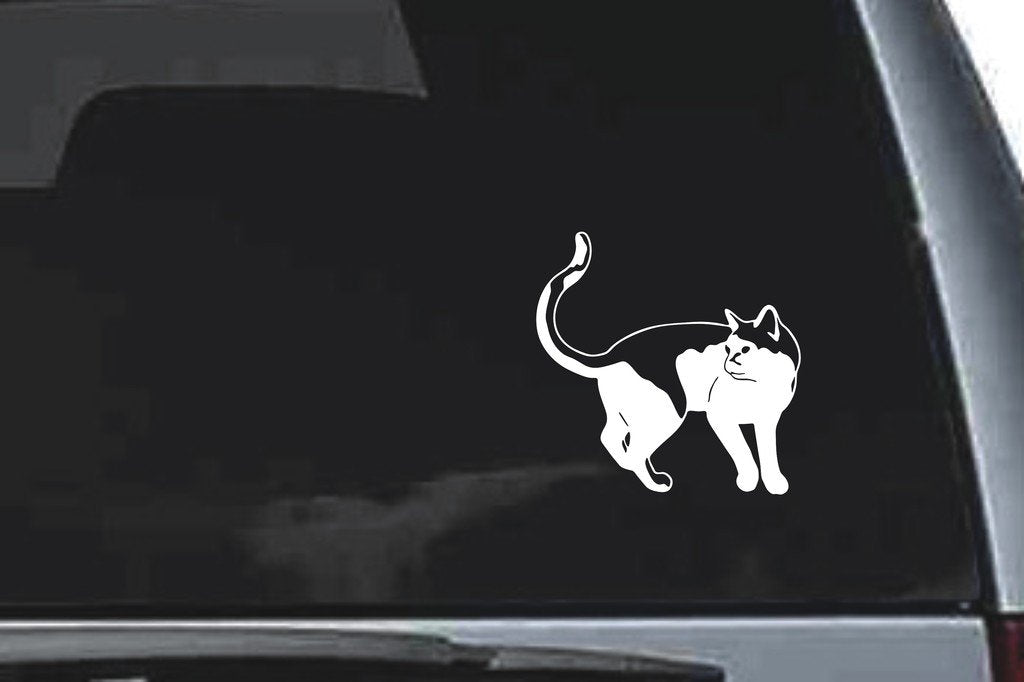Picniva Cat Sty25 Vinyl Car Window Decal, Approx 5 in