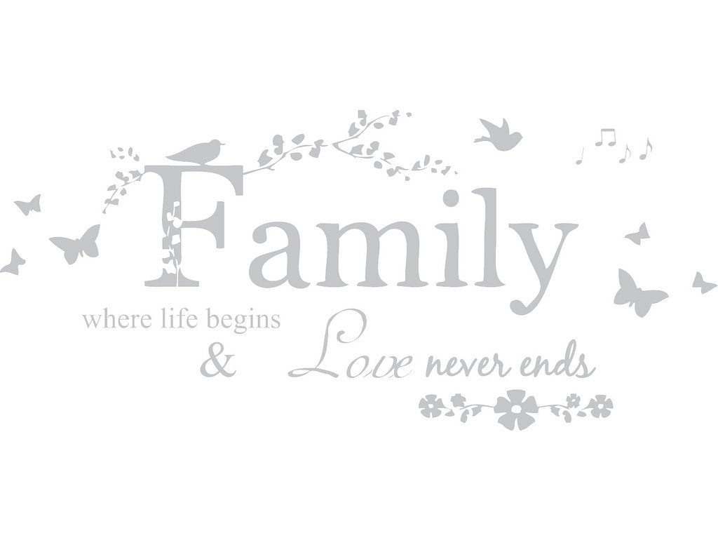 Picniva Family Quote Lettering Vinyl Wall Decal, Silver, 22 x 10 inches