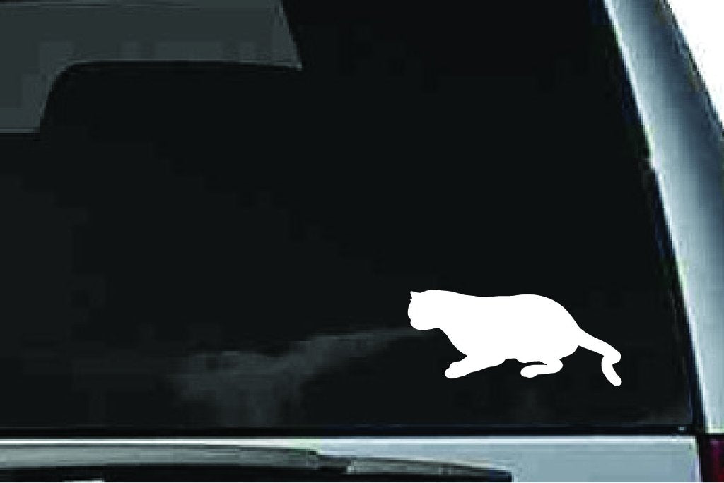 Picniva Exotic Shorthair Cat Sty1 Vinyl Car Window Decal, Approx 5 in