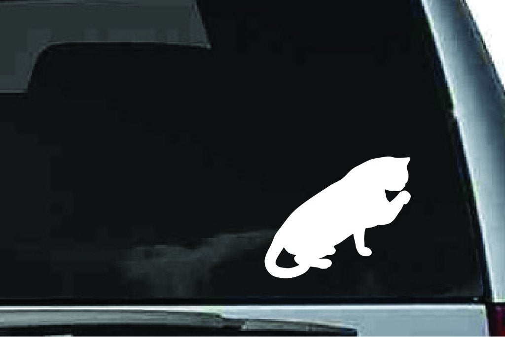 Picniva Exotic Shorthair Cat Sty8 Vinyl Car Window Decal, Approx 5 in