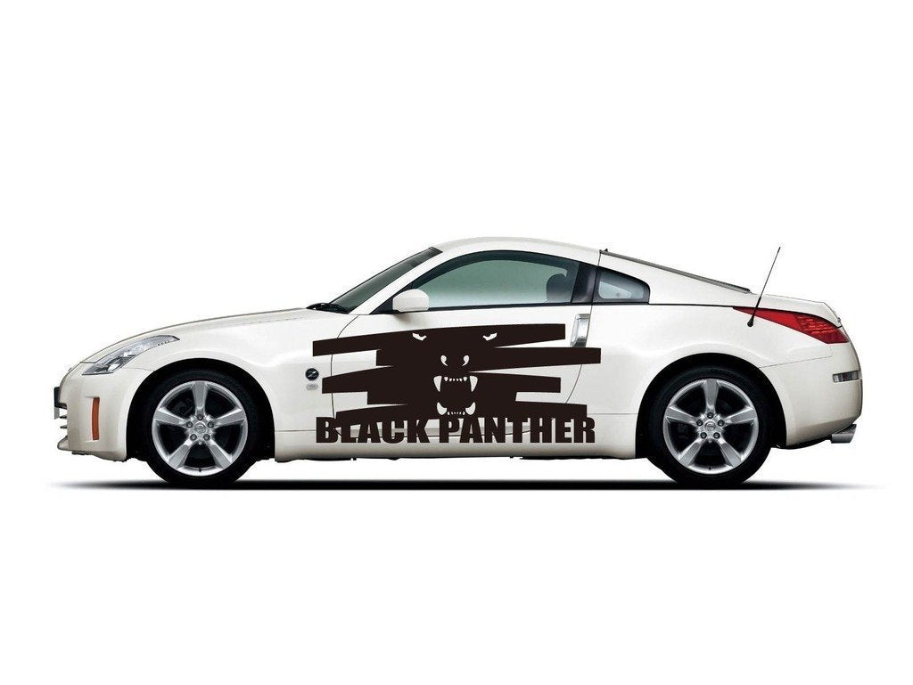 Picniva Style 376 Racing Side Stripe Vinyl Decals, 22 x 53 in, 2 Pc